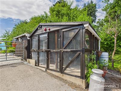 CATTERY 2 ROOMS